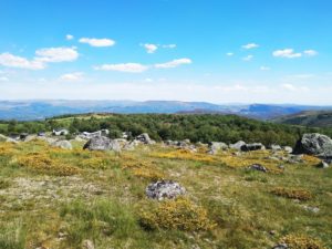 Destino Vilariño, Vilariño de Conso. Ourense. 21 IMG 20190601 165228