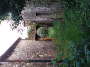 IMG 20201017 181347