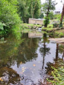 3 cosas que hacer en San Ciprian / San Cibrao. Lugo. 7 IMG 20220825 133300