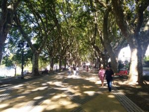 3 cosas que ver en Ponte de Lima con buena música. 1 IMG 20190816 155210